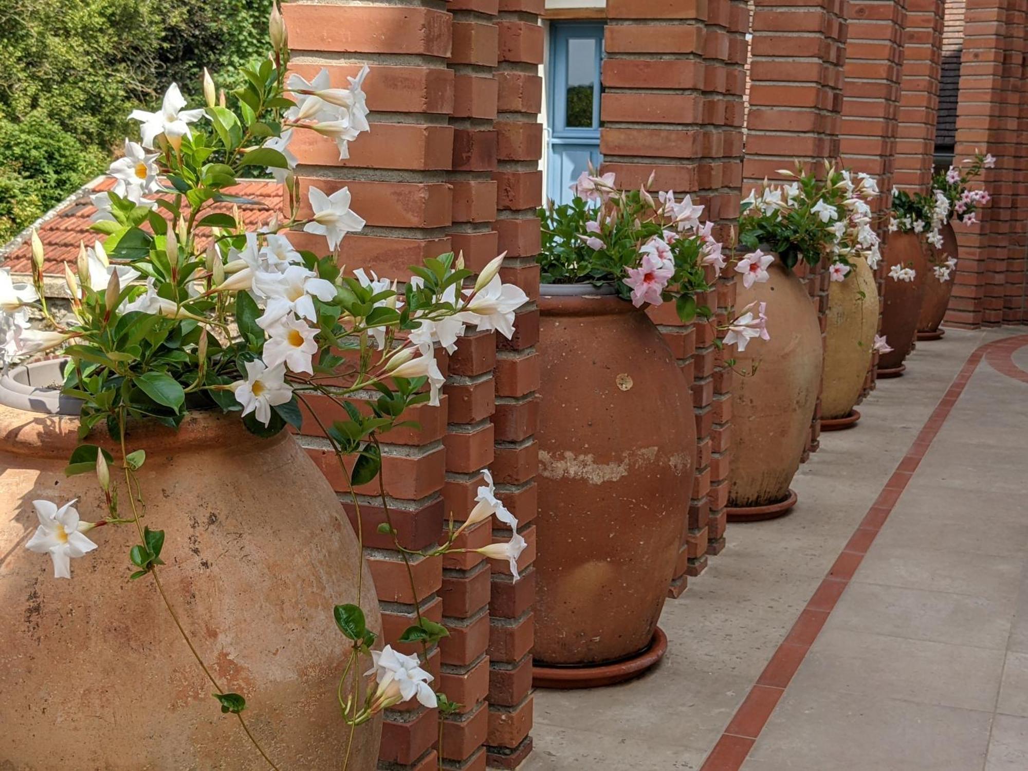 La Closerie Droue-sur-Drouette Exterior foto
